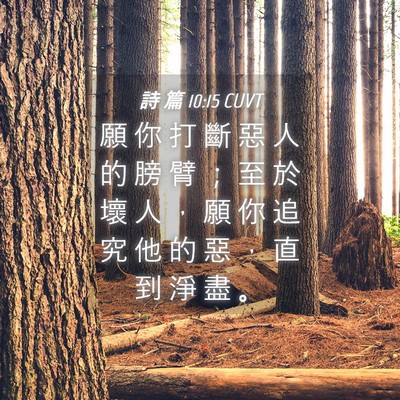 Picture 04 - 詩 篇 10:15 CUVT - 願 你 打 斷 惡 人 的 膀 臂 ； 至 於 - Bible Verse Picture