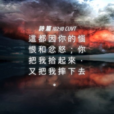 Picture 04 - 詩 篇 102:10 CUVT - 這 都 因 你 的 惱 恨 和 忿 怒 ； 你 - Bible Verse Picture
