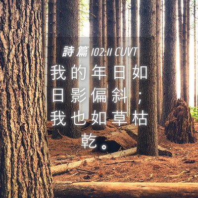 Picture 04 - 詩 篇 102:11 CUVT - 我 的 年 日 如 日 影 偏 斜 ； 我 也 - Bible Verse Picture