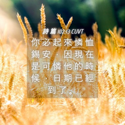 Picture 04 - 詩 篇 102:13 CUVT - 你 必 起 來 憐 恤 錫 安 ， 因 現 在 - Bible Verse Picture
