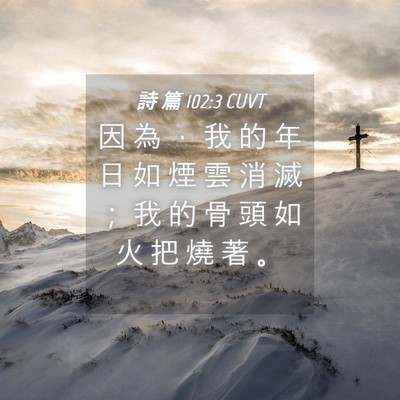 Picture 04 - 詩 篇 102:3 CUVT - 因 為 ， 我 的 年 日 如 煙 雲 消 滅 - Bible Verse Picture