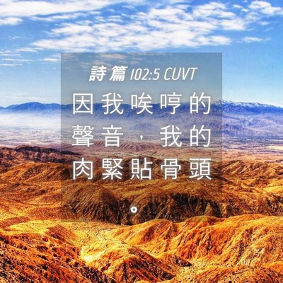 Picture 04 - 詩 篇 102:5 CUVT - 因 我 唉 哼 的 聲 音 ， 我 的 肉 緊 - Bible Verse Picture