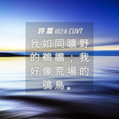 Picture 04 - 詩 篇 102:6 CUVT - 我 如 同 曠 野 的 鵜 鶘 ； 我 好 像 - Bible Verse Picture