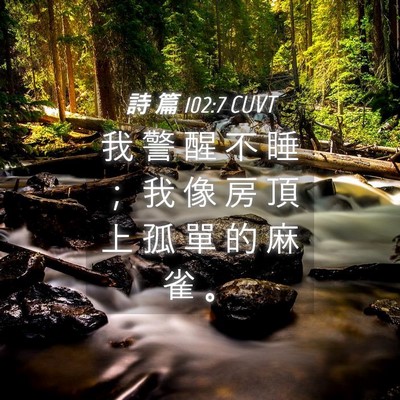Picture 04 - 詩 篇 102:7 CUVT - 我 警 醒 不 睡 ； 我 像 房 頂 上 孤 - Bible Verse Picture
