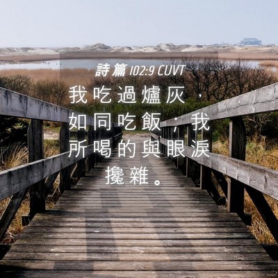 Picture 04 - 詩 篇 102:9 CUVT - 我 吃 過 爐 灰 ， 如 同 吃 飯 ； 我 - Bible Verse Picture