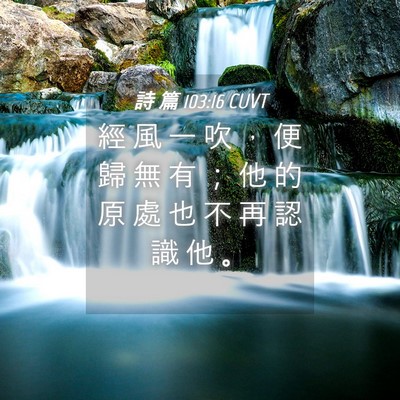 Picture 04 - 詩 篇 103:16 CUVT - 經 風 一 吹 ， 便 歸 無 有 ； 他 的 - Bible Verse Picture