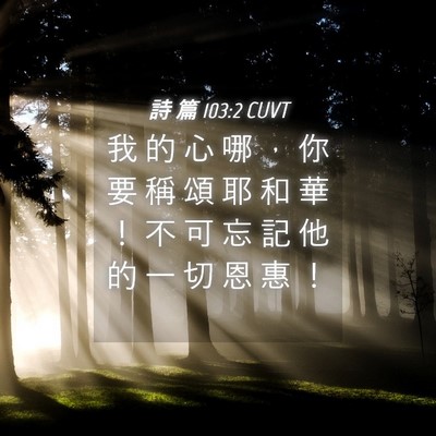 Picture 04 - 詩 篇 103:2 CUVT - 我 的 心 哪 ， 你 要 稱 頌 耶 和 華 - Bible Verse Picture