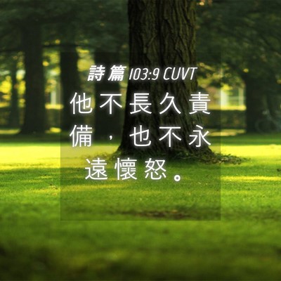 Picture 04 - 詩 篇 103:9 CUVT - 他 不 長 久 責 備 ， 也 不 永 遠 懷 - Bible Verse Picture