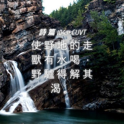 Picture 04 - 詩 篇 104:11 CUVT - 使 野 地 的 走 獸 有 水 喝 ， 野 驢 - Bible Verse Picture