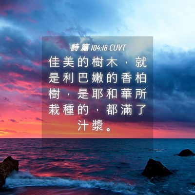 Picture 04 - 詩 篇 104:16 CUVT - 佳 美 的 樹 木 ， 就 是 利 巴 嫩 的 - Bible Verse Picture