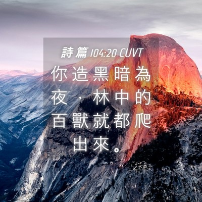 Picture 04 - 詩 篇 104:20 CUVT - 你 造 黑 暗 為 夜 ， 林 中 的 百 獸 - Bible Verse Picture