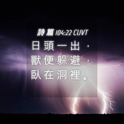 Picture 04 - 詩 篇 104:22 CUVT - 日 頭 一 出 ， 獸 便 躲 避 ， 臥 在 - Bible Verse Picture