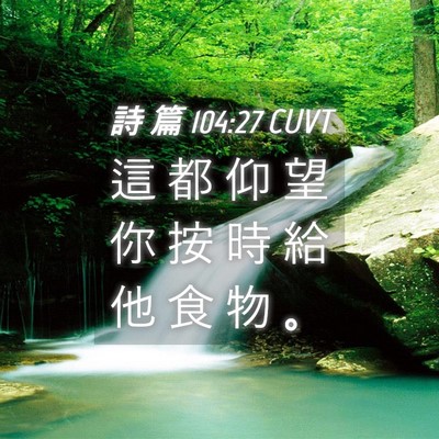 Picture 04 - 詩 篇 104:27 CUVT - 這 都 仰 望 你 按 時 給 他 食 物 - Bible Verse Picture
