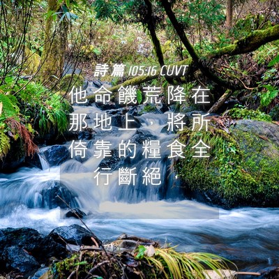 Picture 04 - 詩 篇 105:16 CUVT - 他 命 饑 荒 降 在 那 地 上 ， 將 所 - Bible Verse Picture