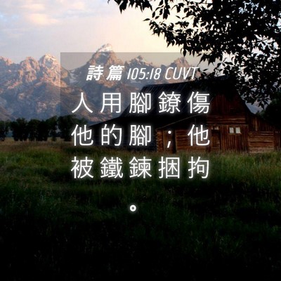 Picture 04 - 詩 篇 105:18 CUVT - 人 用 腳 鐐 傷 他 的 腳 ； 他 被 鐵 - Bible Verse Picture