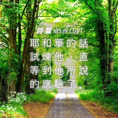 Picture 04 - 詩 篇 105:19 CUVT - 耶 和 華 的 話 試 煉 他 ， 直 等 到 - Bible Verse Picture