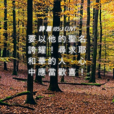 Picture 04 - 詩 篇 105:3 CUVT - 要 以 他 的 聖 名 誇 耀 ！ 尋 求 耶 - Bible Verse Picture