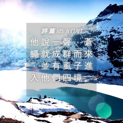 Picture 04 - 詩 篇 105:31 CUVT - 他 說 一 聲 ， 蒼 蠅 就 成 群 而 來 - Bible Verse Picture