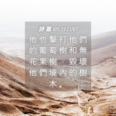 Picture 04 - 詩 篇 105:33 CUVT - 他 也 擊 打 他 們 的 葡 萄 樹 和 無 - Bible Verse Picture