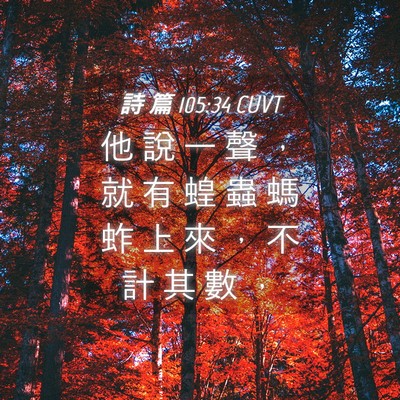 Picture 04 - 詩 篇 105:34 CUVT - 他 說 一 聲 ， 就 有 蝗 蟲 螞 蚱 上 - Bible Verse Picture