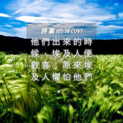 Picture 04 - 詩 篇 105:38 CUVT - 他 們 出 來 的 時 候 ， 埃 及 人 便 - Bible Verse Picture