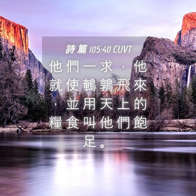 Picture 04 - 詩 篇 105:40 CUVT - 他 們 一 求 ， 他 就 使 鵪 鶉 飛 來 - Bible Verse Picture