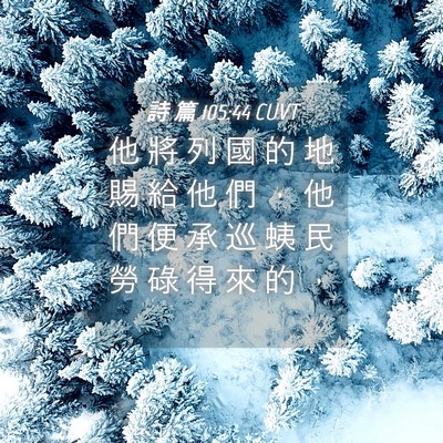 Picture 04 - 詩 篇 105:44 CUVT - 他 將 列 國 的 地 賜 給 他 們 ， 他 - Bible Verse Picture