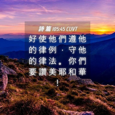 Picture 04 - 詩 篇 105:45 CUVT - 好 使 他 們 遵 他 的 律 例 ， 守 他 - Bible Verse Picture