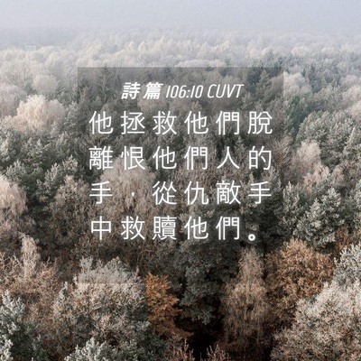 Picture 04 - 詩 篇 106:10 CUVT - 他 拯 救 他 們 脫 離 恨 他 們 人 的 - Bible Verse Picture