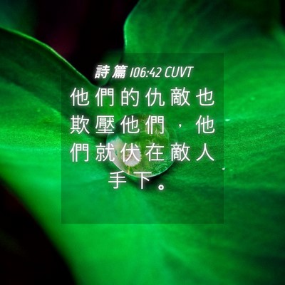 Picture 04 - 詩 篇 106:42 CUVT - 他 們 的 仇 敵 也 欺 壓 他 們 ， 他 - Bible Verse Picture