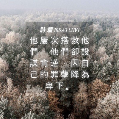 Picture 04 - 詩 篇 106:43 CUVT - 他 屢 次 搭 救 他 們 ， 他 們 卻 設 - Bible Verse Picture