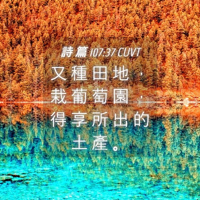 Picture 04 - 詩 篇 107:37 CUVT - 又 種 田 地 ， 栽 葡 萄 園 ， 得 享 - Bible Verse Picture