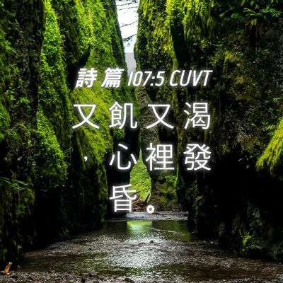 Picture 04 - 詩 篇 107:5 CUVT - 又 飢 又 渴 ， 心 裡 發 昏 - Bible Verse Picture