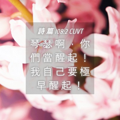 Picture 04 - 詩 篇 108:2 CUVT - 琴 瑟 啊 ， 你 們 當 醒 起 ！ 我 自 - Bible Verse Picture