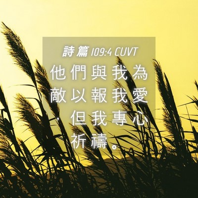 Picture 04 - 詩 篇 109:4 CUVT - 他 們 與 我 為 敵 以 報 我 愛 ， 但 - Bible Verse Picture