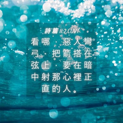 Picture 04 - 詩 篇 11:2 CUVT - 看 哪 ， 惡 人 彎 弓 ， 把 箭 搭 在 - Bible Verse Picture