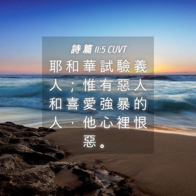 Picture 04 - 詩 篇 11:5 CUVT - 耶 和 華 試 驗 義 人 ； 惟 有 惡 人 - Bible Verse Picture