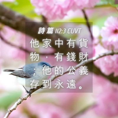Picture 04 - 詩 篇 112:3 CUVT - 他 家 中 有 貨 物 ， 有 錢 財 ； 他 - Bible Verse Picture