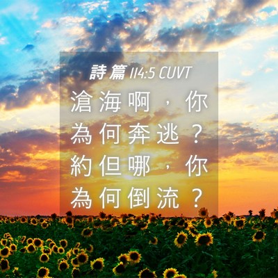 Picture 04 - 詩 篇 114:5 CUVT - 滄 海 啊 ， 你 為 何 奔 逃 ？ 約 但 - Bible Verse Picture
