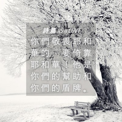 Picture 04 - 詩 篇 115:11 CUVT - 你 們 敬 畏 耶 和 華 的 ， 要 倚 靠 - Bible Verse Picture