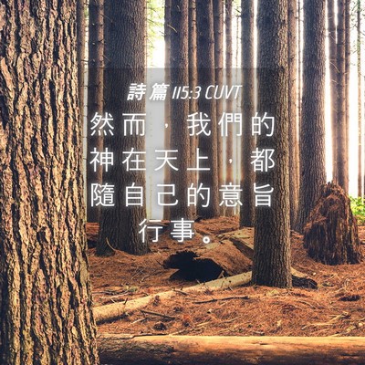 Picture 04 - 詩 篇 115:3 CUVT - 然 而 ， 我 們 的 神 在 天 上 ， 都 - Bible Verse Picture