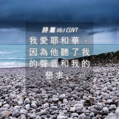 Picture 04 - 詩 篇 116:1 CUVT - 我 愛 耶 和 華 ， 因 為 他 聽 了 我 - Bible Verse Picture