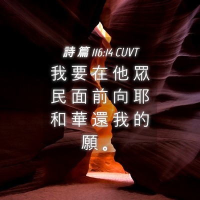 Picture 04 - 詩 篇 116:14 CUVT - 我 要 在 他 眾 民 面 前 向 耶 和 華 - Bible Verse Picture