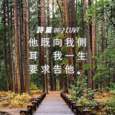 Picture 04 - 詩 篇 116:2 CUVT - 他 既 向 我 側 耳 ， 我 一 生 要 求 - Bible Verse Picture