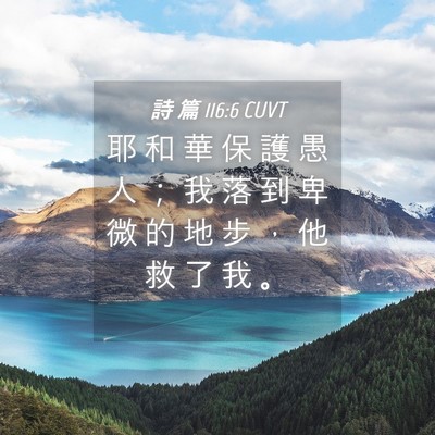 Picture 04 - 詩 篇 116:6 CUVT - 耶 和 華 保 護 愚 人 ； 我 落 到 卑 - Bible Verse Picture