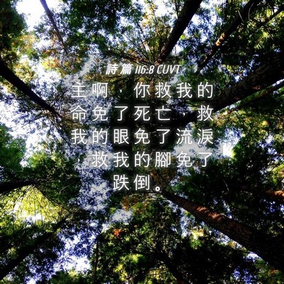 Picture 04 - 詩 篇 116:8 CUVT - 主 啊 ， 你 救 我 的 命 免 了 死 亡 - Bible Verse Picture