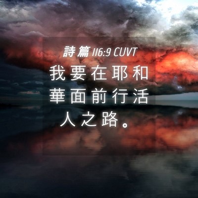 Picture 04 - 詩 篇 116:9 CUVT - 我 要 在 耶 和 華 面 前 行 活 人 之 - Bible Verse Picture