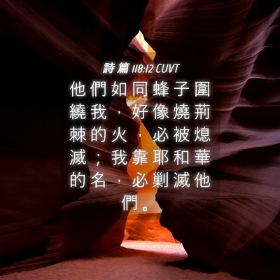 Picture 04 - 詩 篇 118:12 CUVT - 他 們 如 同 蜂 子 圍 繞 我 ， 好 像 - Bible Verse Picture