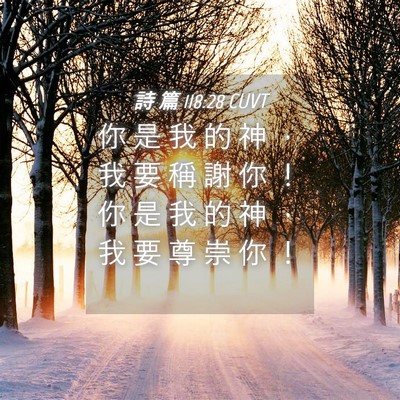 Picture 04 - 詩 篇 118:28 CUVT - 你 是 我 的 神 ， 我 要 稱 謝 你 ！ - Bible Verse Picture