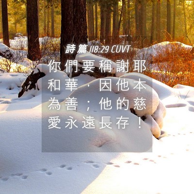 Picture 04 - 詩 篇 118:29 CUVT - 你 們 要 稱 謝 耶 和 華 ， 因 他 本 - Bible Verse Picture